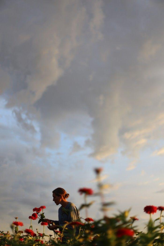 Corporate meeting room with carefully timed floral arrangements that maintain elegance throughout business hours
